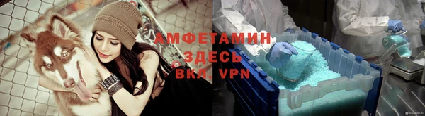 ALPHA PVP Белокуриха