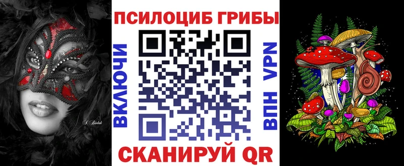 Псилоцибиновые грибы MAGIC MUSHROOMS  как найти закладки  Судогда 